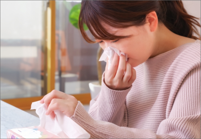 花粉症の画像
